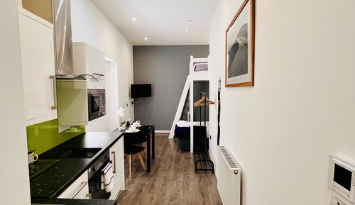 Estudio, baño privado (Twin )