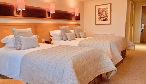 Habitación clásica con 1 cama doble o 2 individuales