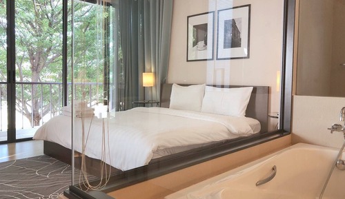 1 Bedroom Suite