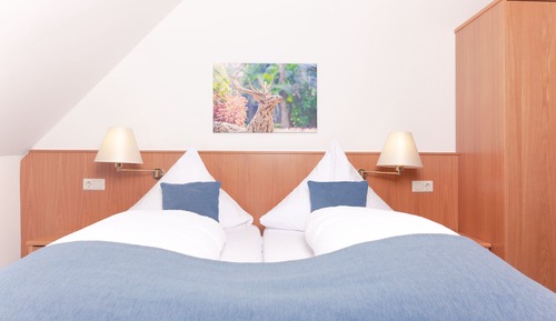 Habitación doble