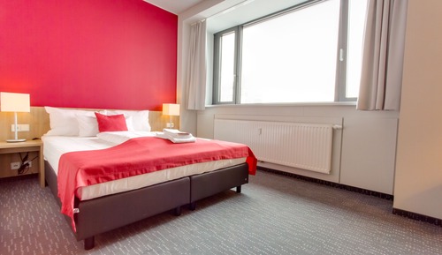 Suite estudio Confort, 1 cama doble con sofá cama