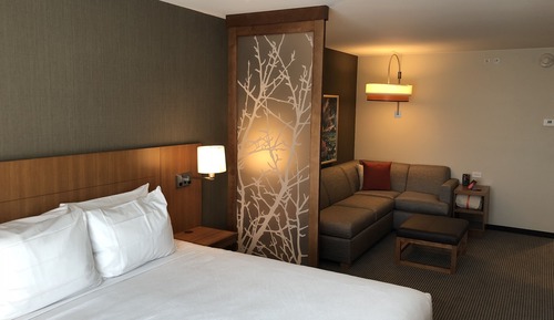 Habitación, 1 cama de matrimonio grande con sofá cama (Shower)