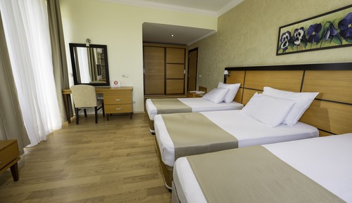 Habitación triple estándar, vistas al río