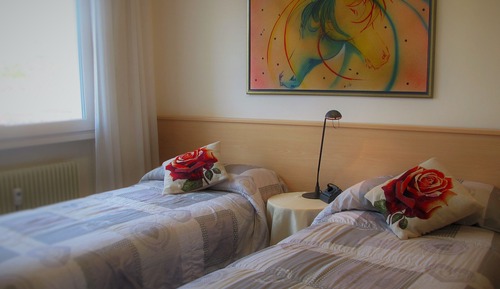 Habitación tradicional con 1 cama doble o 2 individuales, vistas a la montaña