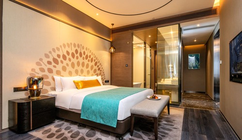 Suite Elite, 1 habitación