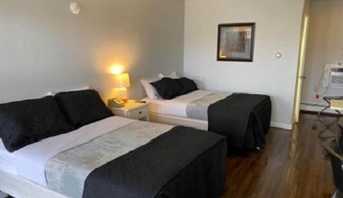 Habitación básica, 2 camas dobles (Pet Friendly)
