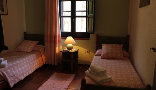 Habitación estándar con 1 cama doble o 2 individuales