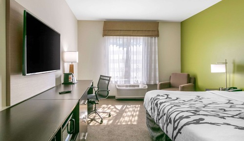 Habitación estándar, 1 cama de matrimonio grande con sofá cama, no fumadores (2 Person Sofa bed)