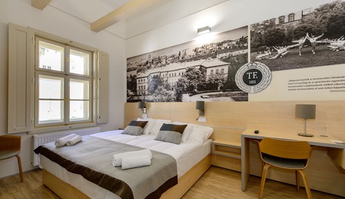 Habitación doble superior, 1 cama de matrimonio grande