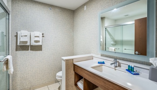 Habitación estándar, 1 cama de matrimonio grande (Mobility, Transfer Shower)