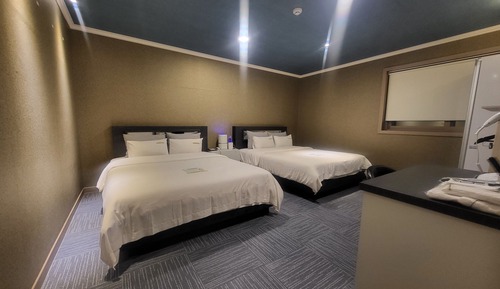 Suite (Free Netflix, Styler, Air purifier)