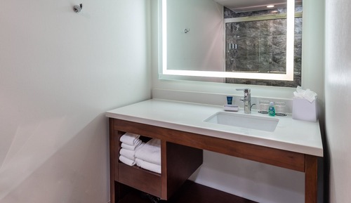 Habitación tradicional, 1 cama de matrimonio grande (Mobility/Hearing Access, Roll-In Shwr)