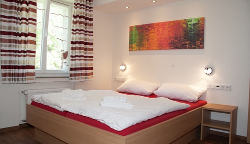 Habitación estándar doble, vistas al jardín (3)