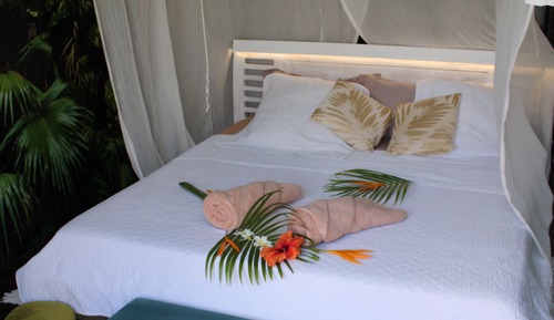 Cabaña Signature, vistas a la piscina (Cabanon Jungle Paradise)