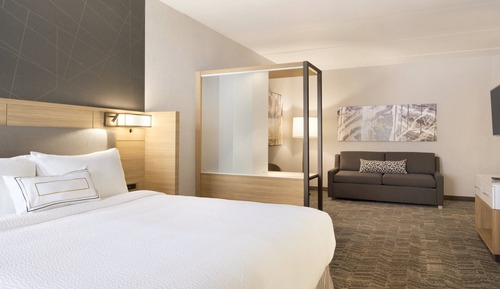 Suite, 1 cama de matrimonio grande con sofá cama (Hearing Accessible)