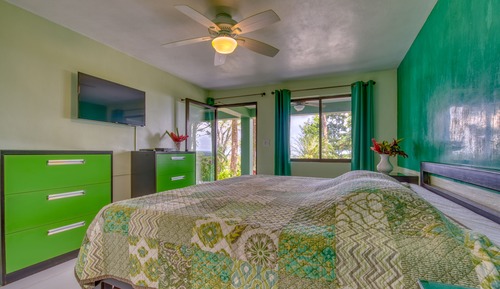 4 GREEN ROOM King Bed