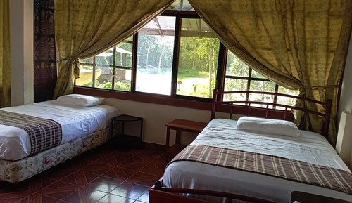 Habitación Confort doble, 1 cama de matrimonio, baño privado, vistas a la piscina