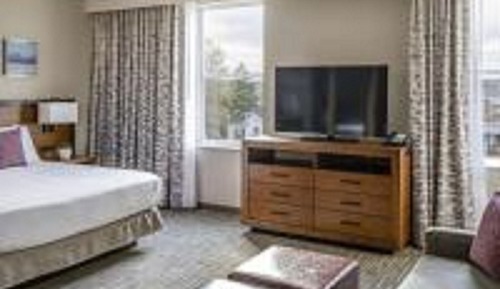 Estudio, 1 cama de matrimonio grande