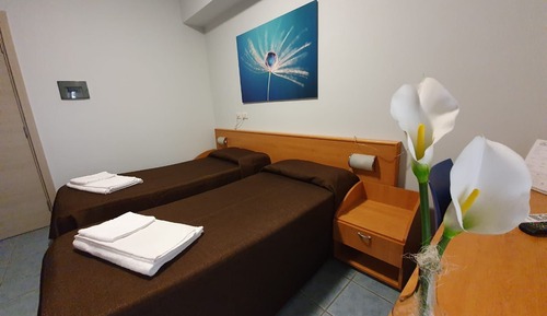 Habitación económica con 1 cama doble o 2 individuales