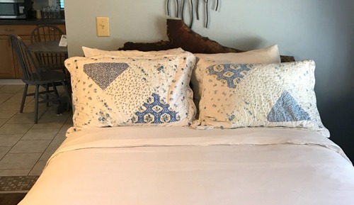 Suite, 1 cama doble con sofá cama, frigorífico y microondas (The Trellis Suite)