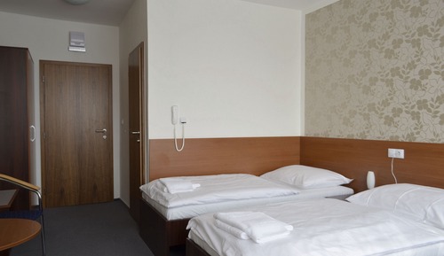 Habitación estándar con 1 cama doble o 2 individuales