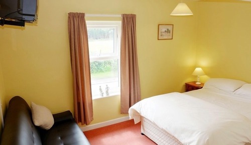 Habitación doble, baño privado (Bed Settee )