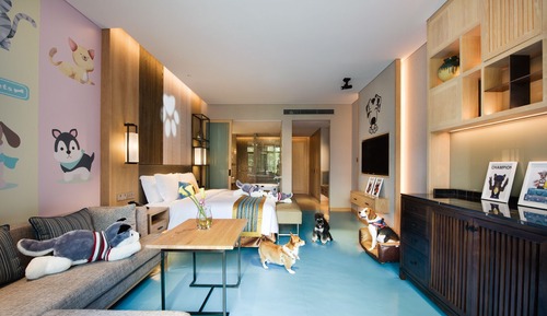 Habitación estándar, 1 cama de matrimonio grande, Se admiten mascotas
