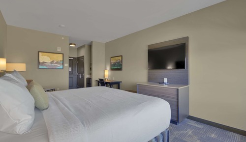 Habitación estándar, 1 cama de matrimonio grande, no fumadores, microondas