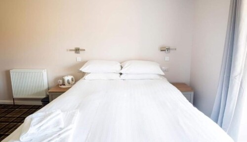 Habitación doble, 1 cama doble