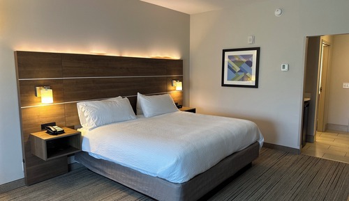 Habitación estándar, 1 cama de matrimonio grande (Comm, Mobility, Roll-In Shower)