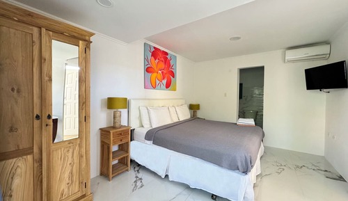 Apartamento Confort, 1 habitación, vistas al jardín