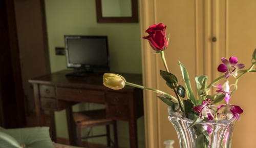 Habitación clásica doble, 1 cama de matrimonio, terraza, vistas al jardín (Orchidea)