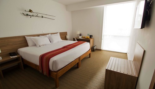 Habitación superior con 1 cama doble o 2 individuales