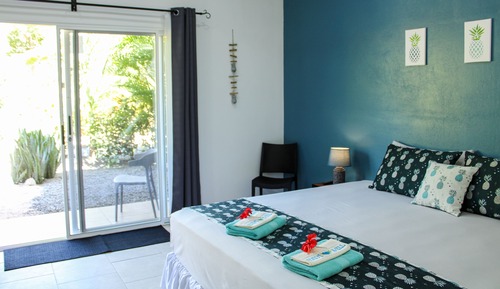Habitación Confort doble, baño privado, vistas al jardín (Chambre N°2)