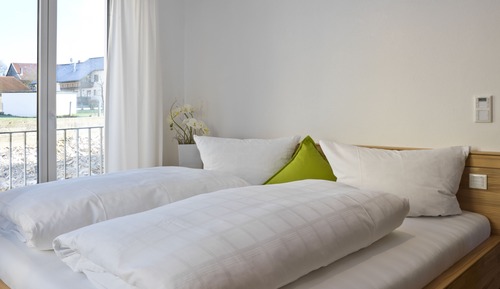 Suite estudio Premium, no fumadores, materiales antialérgicos (Wacholder)
