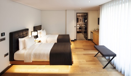 Habitación Deluxe con 2 camas individuales