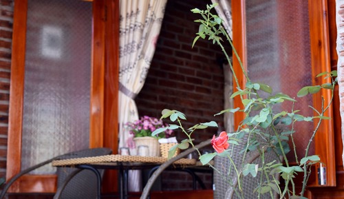 Bungalow estándar, patio