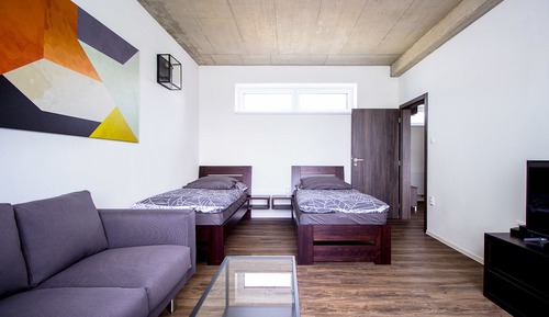 Habitación estándar con 2 camas individuales