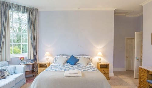 Habitación doble, baño privado, vistas al jardín (blue room)