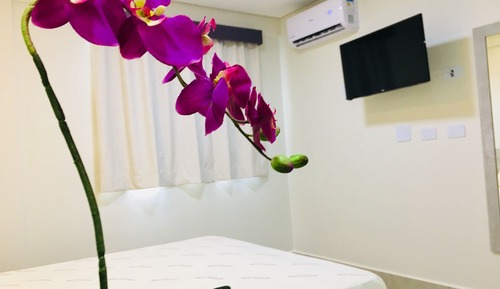 Habitación doble de uso individual, 1 cama de matrimonio