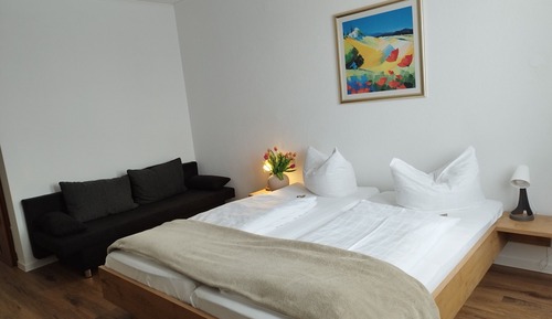 Habitación Confort doble, baño privado