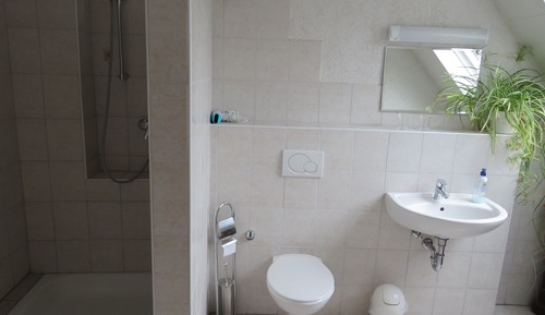 Habitación Deluxe doble, baño privado
