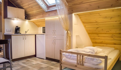 Loft económico, 1 habitación