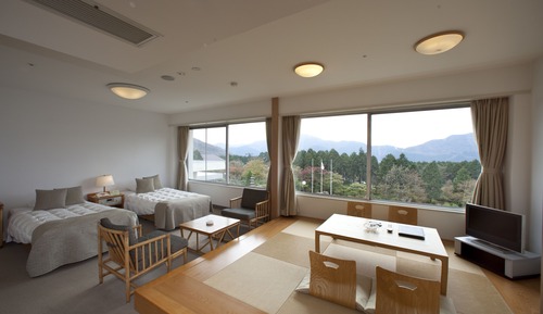 Habitación Confort con 2 camas individuales, no fumadores, vistas al jardín (With Tatami Area)