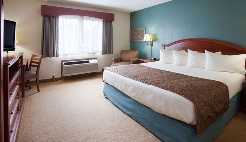 Suite estudio Deluxe, 1 cama de matrimonio grande, no fumadores