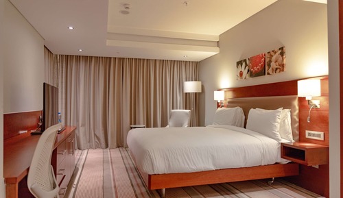 Room, 1 King Bed