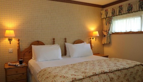 Traditional One Bedroom Apartment