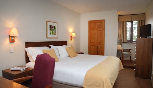 Standard Two Bedroom Apartment