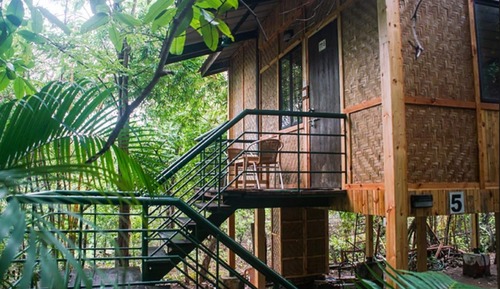 Casa en un árbol