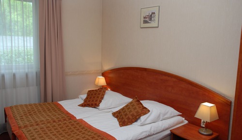 Habitación estándar doble, 1 cama doble